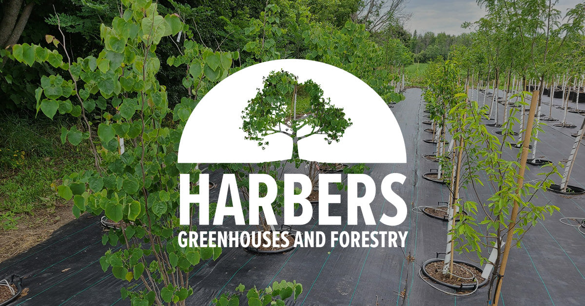 Contact – Harbers Greenhouses and Forestry