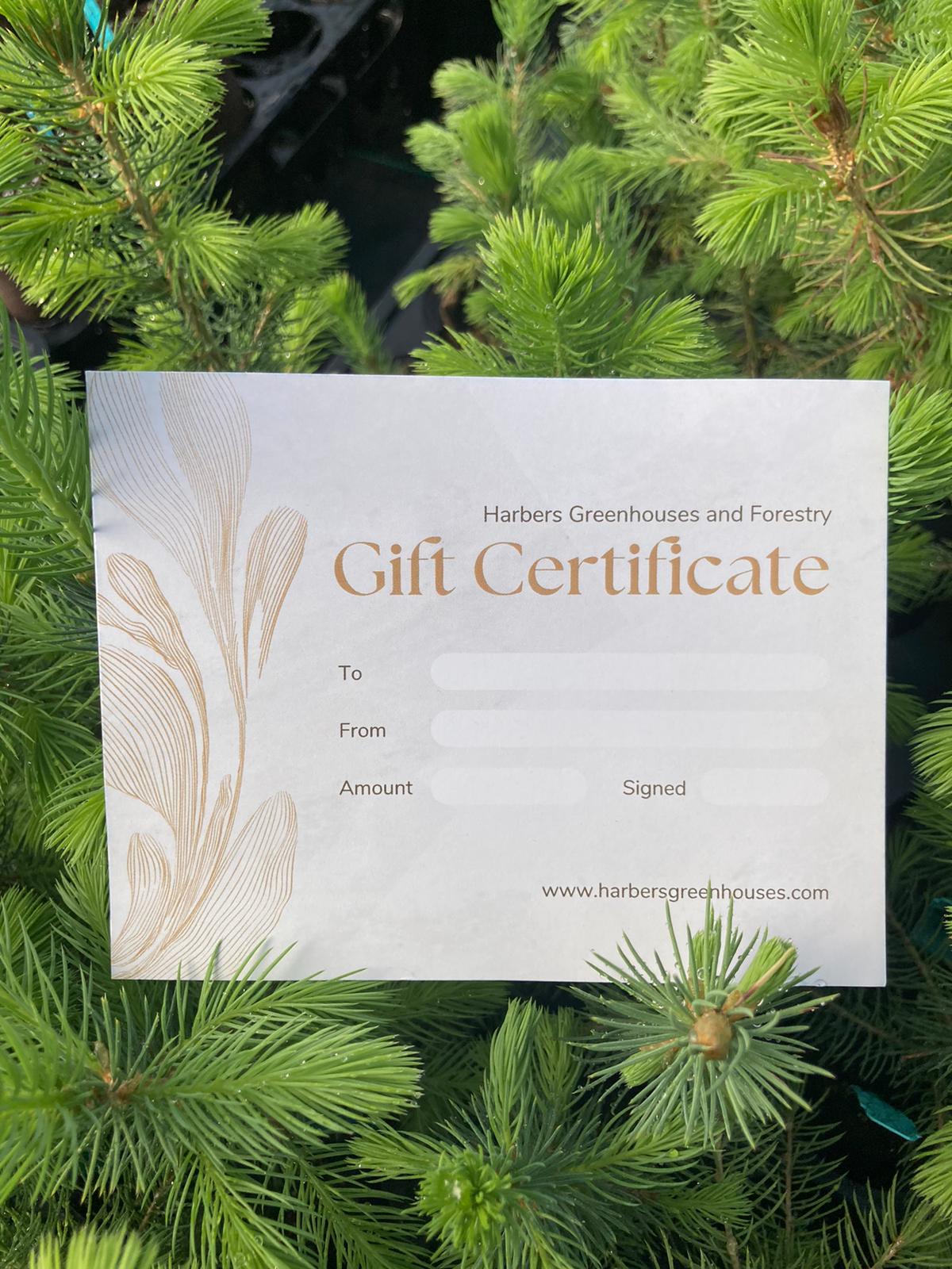 Gift Certificate